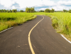 Asphalt Paving