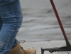 Seal Driveway Cracks