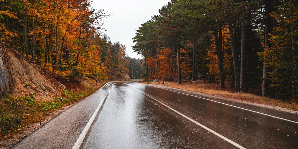Asphalt Paving